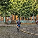 21 Fotozirkel Mannheim e.V. Felix Novotny